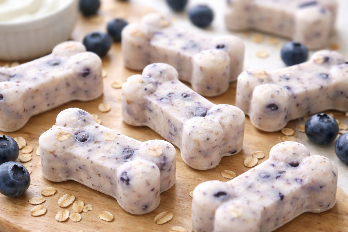Dog Treats With Greek Yogurt And Blueberries