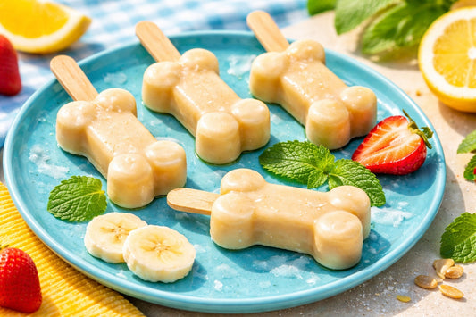 Dog Safe Popsicles