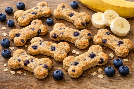 Blueberry Banana Dog Treat