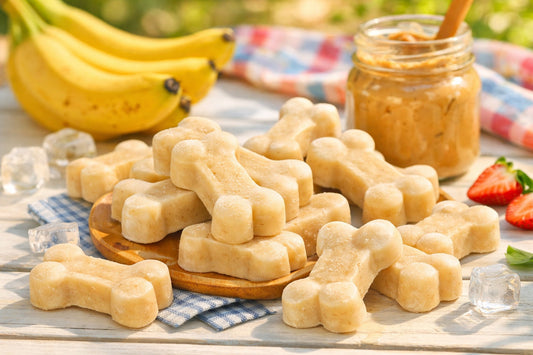 Healthy Homemade Dog Ice Cream