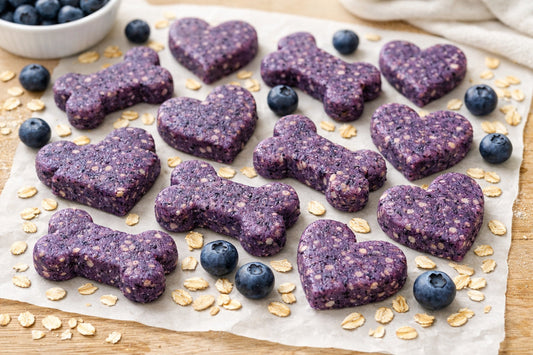 No Bake Blueberry Dog Treats