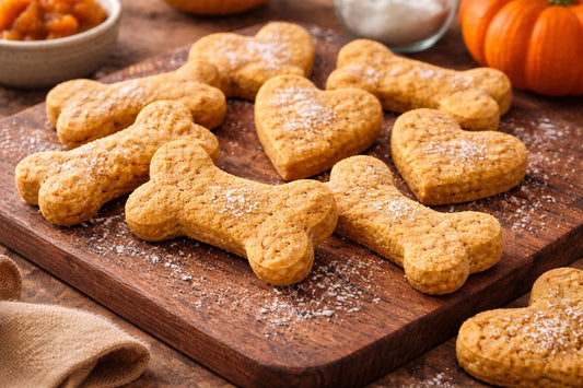 Pumpkin Coconut Flour Dog Treats