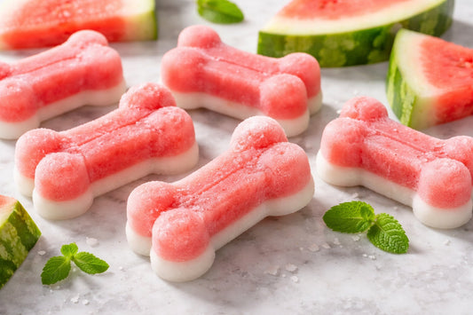 Frozen Watermelon Dog Treats