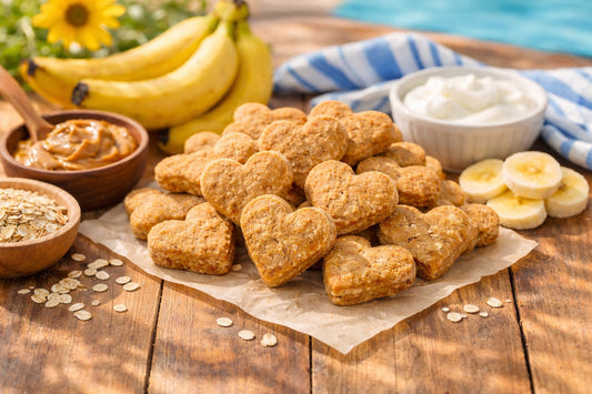 Homemade Dog Treats For Summer