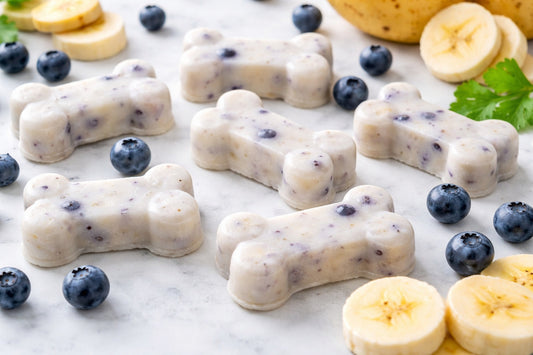 Blueberry Banana Yogurt Frozen Dog Treats