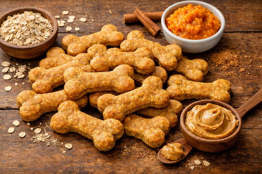 Healthy Organic Dog Treats