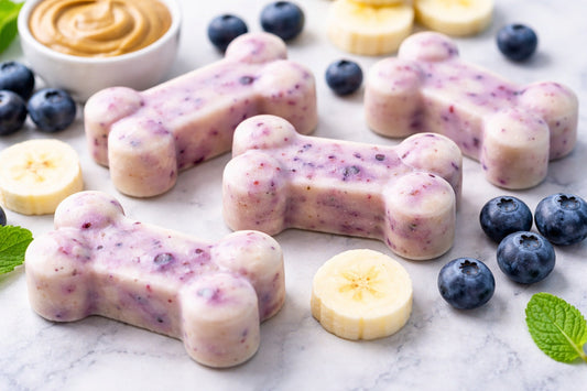 Natural Frozen Dog Treats
