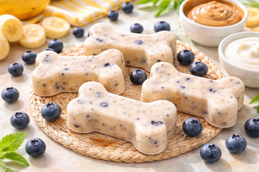 Healthy Dog Ice Cream