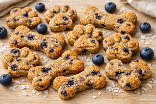 Blueberry Coconut Dog Treats