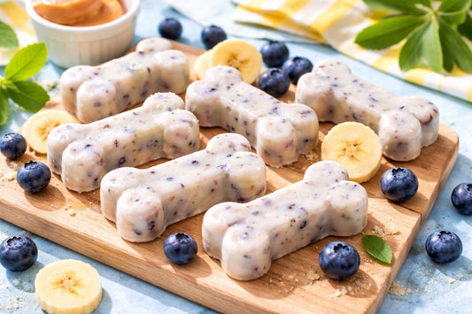 DIY Frozen Dog Treats Summer
