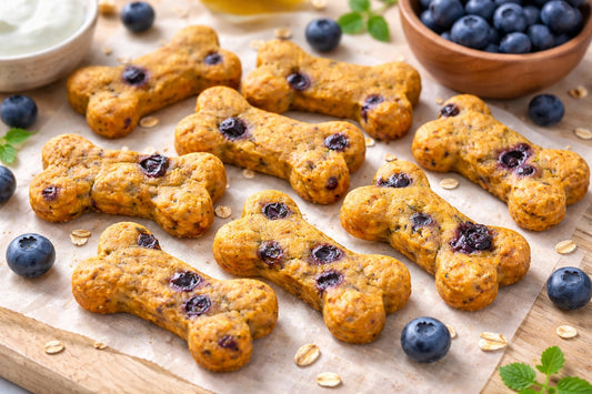 Pumpkin Blueberry Yogurt Dog Treats
