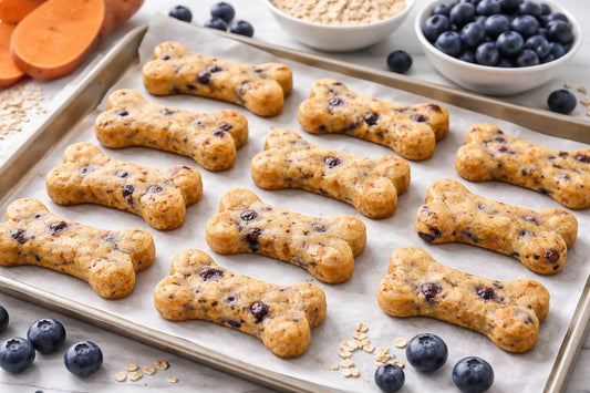 Blueberry Sweet Potato Dog Treats