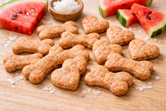 Dog Treats With Watermelon