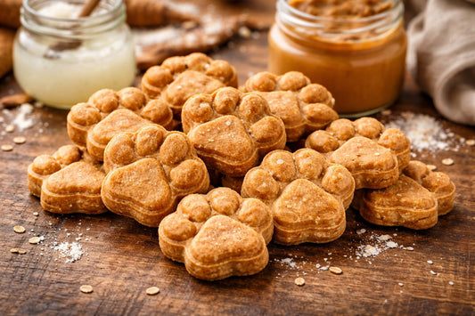Healthy Homemade Coconut Oil Dog Treats