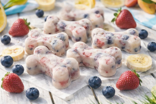 Frozen Summer Dog Treats