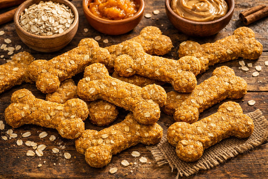 Pumpkin Oat Dog Treats
