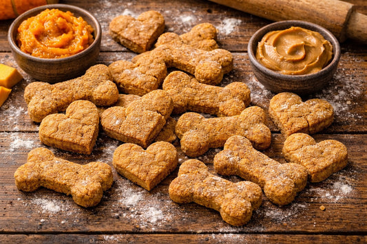 Long Lasting Pumpkin Dog Treats