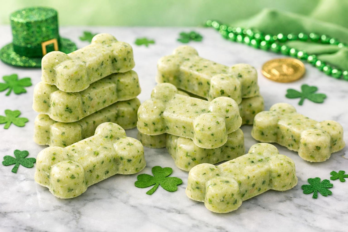 Frozen Broccoli Dog Treats