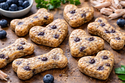 Blueberry Chicken Dog Treats