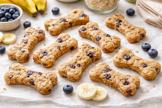 Dog Treats With Banana And Blueberry
