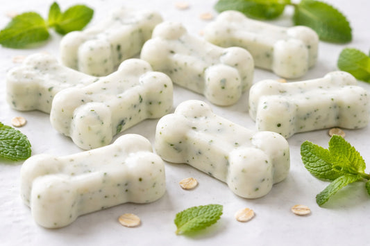 Yogurt And Mint Dog Treats