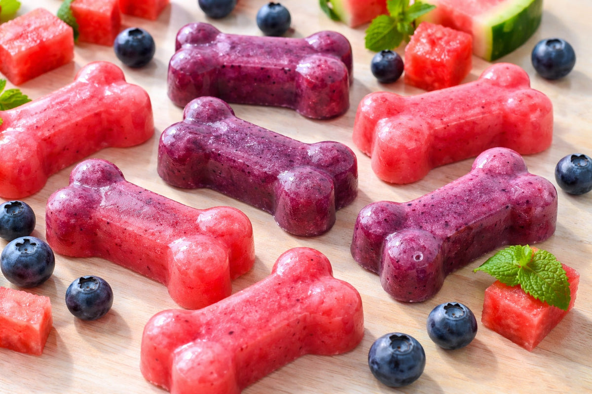 Watermelon and Blueberry Dog Treats