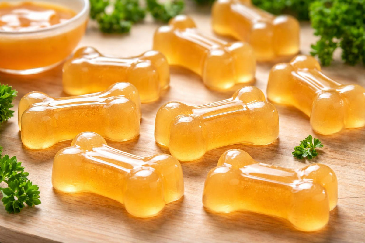 Chicken Broth Gummy Dog Treats