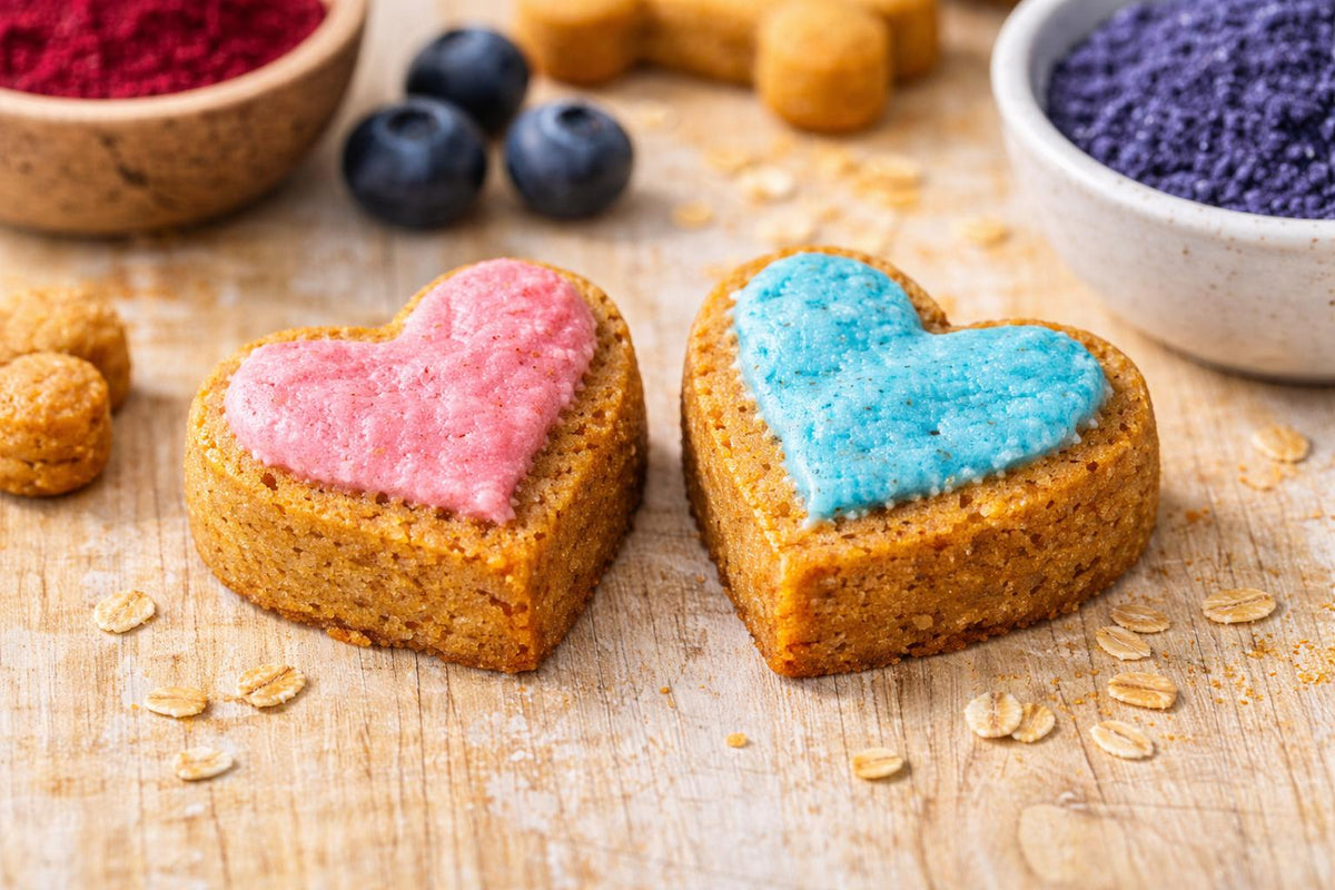 Dog Safe Gender Reveal Cake Recipe