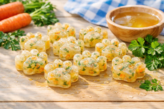 Frozen Bone Broth Dog Treat