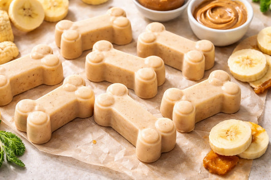 Frozen Homemade Dog Ice Cream Treat Recipe