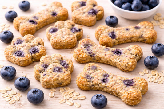 Healthy Blueberry Dog Treats