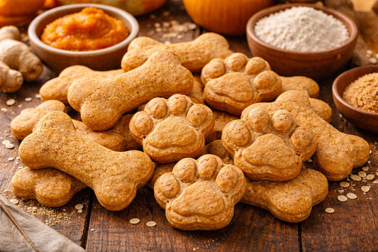 Pumpkin Ginger Dog Treats