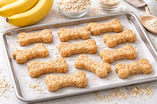 Banana Dog Treat Recipe No Peanut Butter