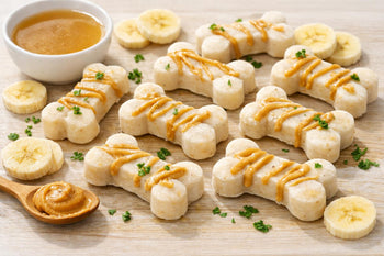 Frozen Dog Treats With Bone Broth