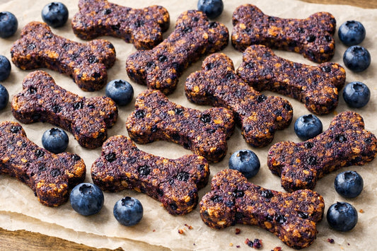 Dehydrated Blueberry Dog Treats