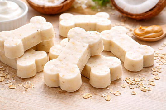 Coconut Oil And Yogurt Dog Treats