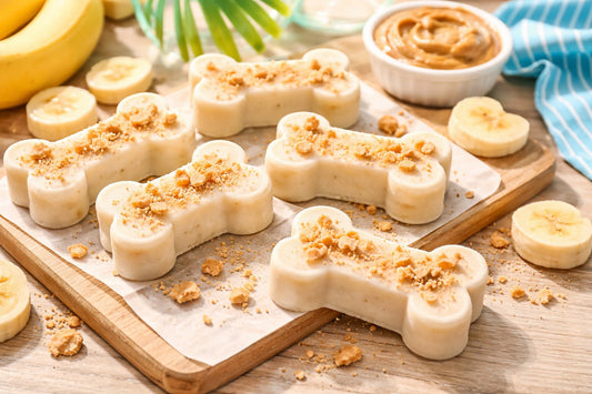 Dog Ice Cream Recipe With Bananas