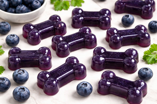 Blueberry Gummy Dog Treats