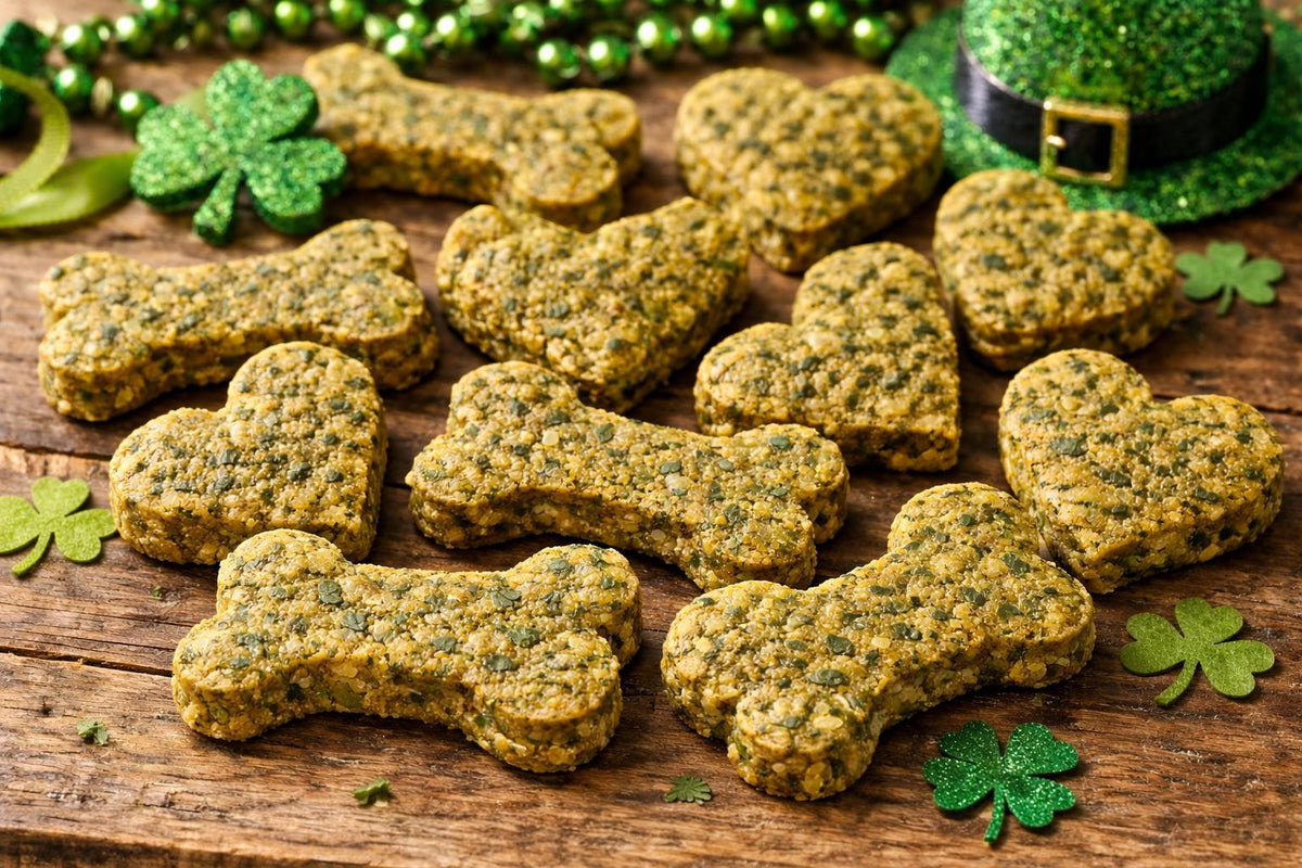 Easy Dehydrated Green Bean Dog Treats