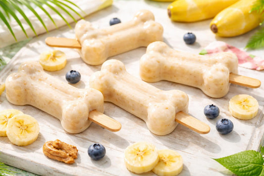 Dog Yogurt Popsicles