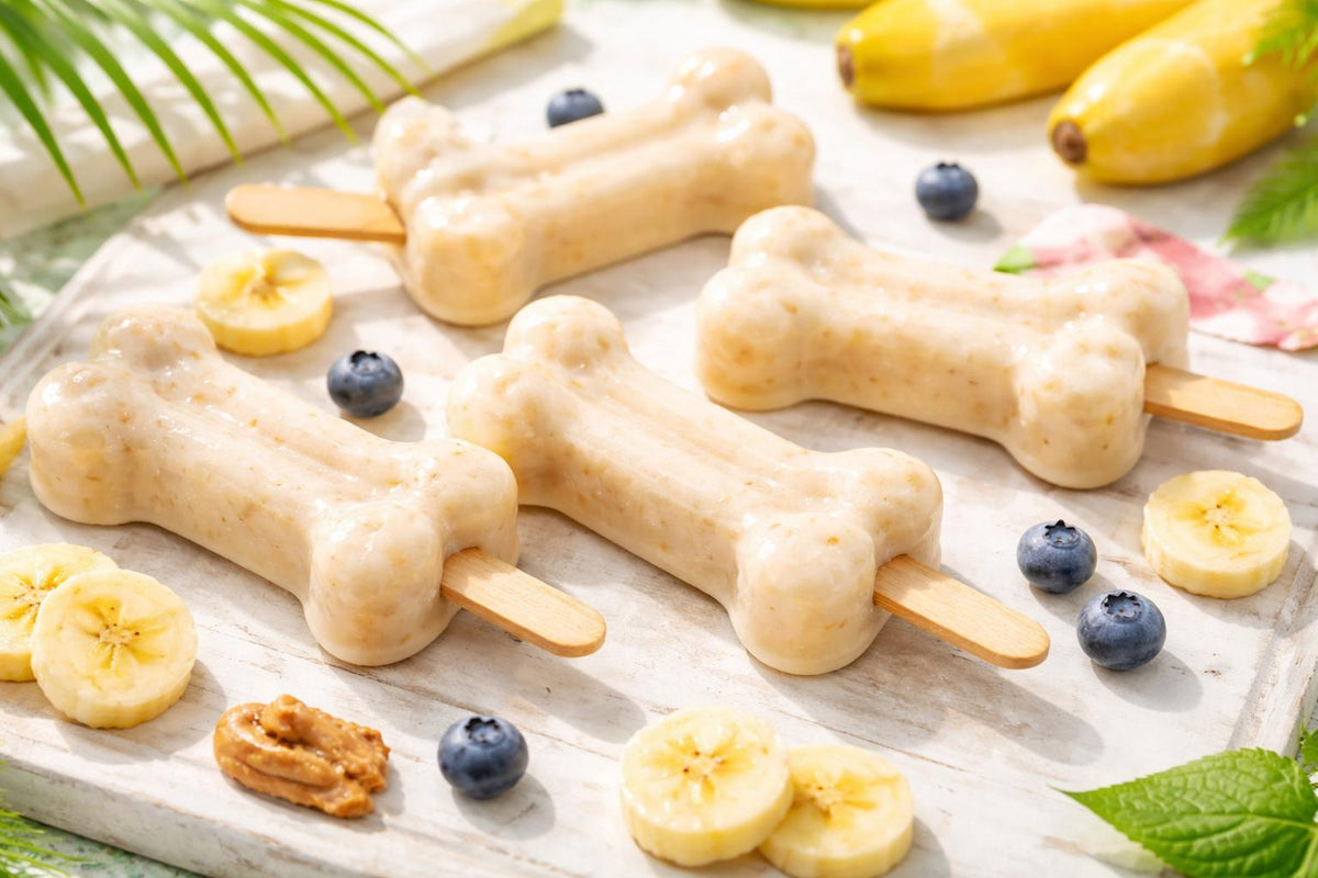 Dog Yogurt Popsicles
