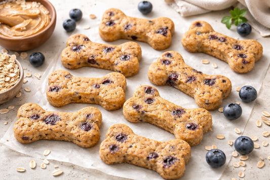 Blueberry Peanut Butter Oat Dog Treats