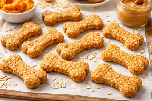 Pumpkin Peanut Butter Oat Dog Treats