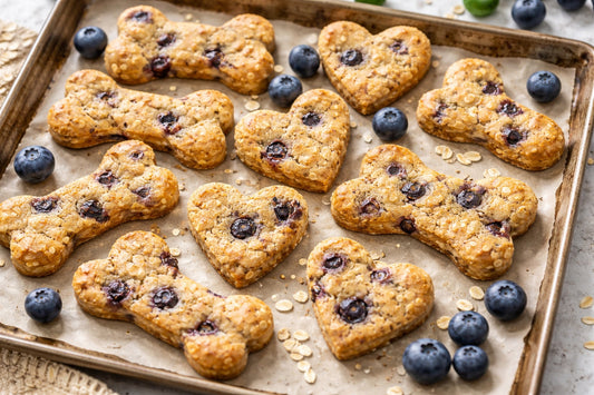 Blueberry Oat Flour Dog Treats