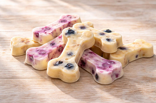 Dog Ice Cream With No Peanut Butter