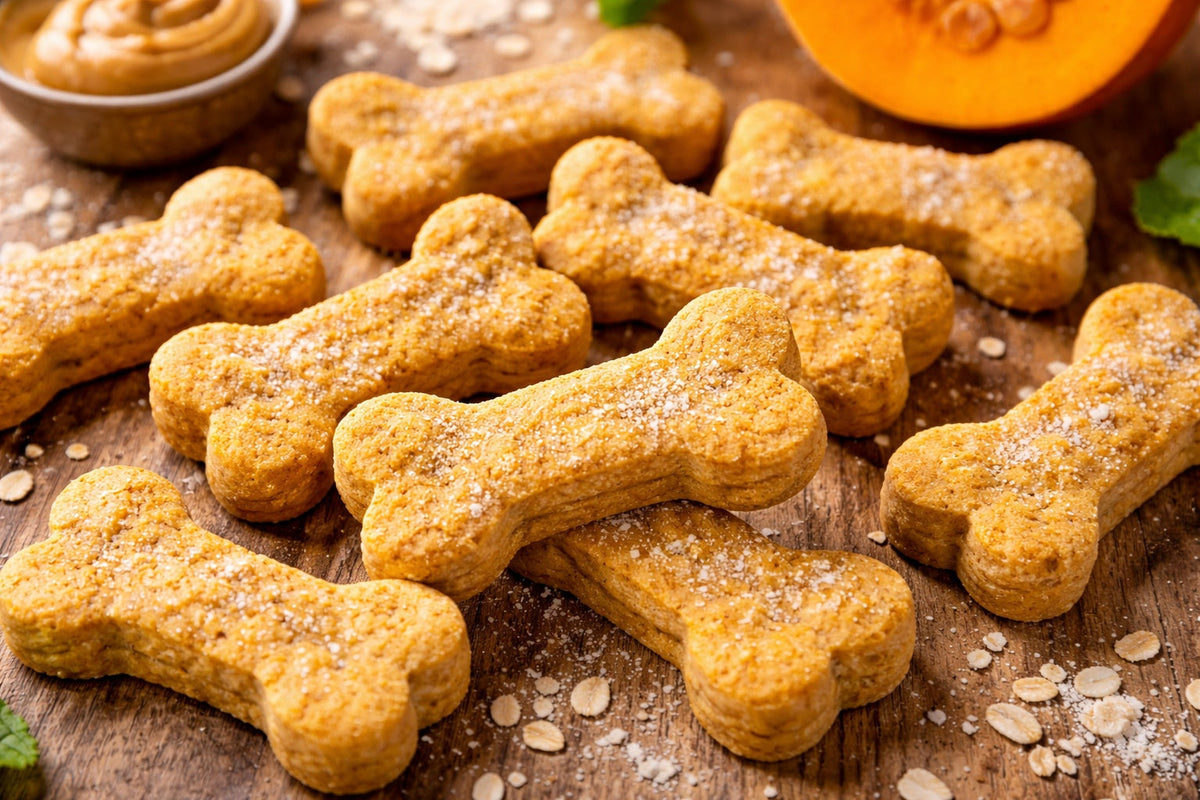Pumpkin Dog Treats With Coconut Flour