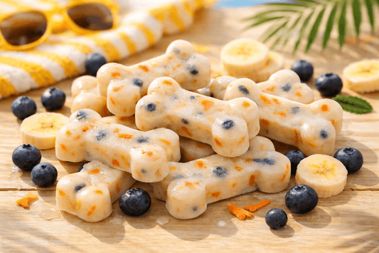 Easy Frozen Dog Treat