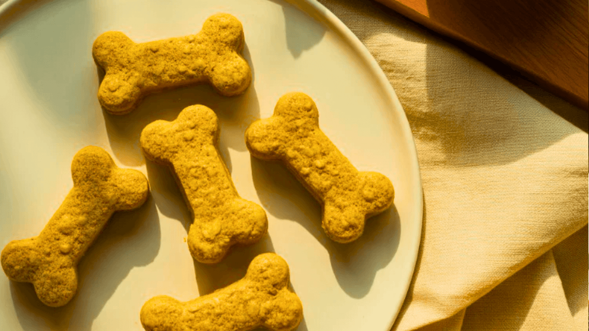 Egg Free Dog Biscuit Recipes