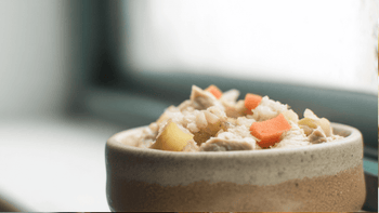 Homemade Dog Meals for Yorkie