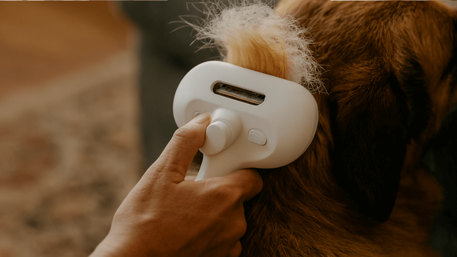 Pet Hair Removal Comb